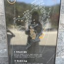 제천 리솜 레스트리 타워S30 숙박후기(체크인, 객실내부, 장담점)