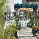 유월의 피크닉 | 남대문 회현역 카페 야외테라스가 예쁜 유월커피