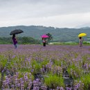 정읍농장 이미지
