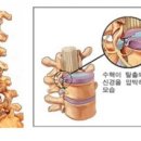 참마취통증의학과의원 이미지