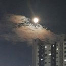한장미아파트 이미지