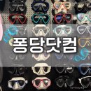 프리다이빙 용품 오프라인 매장 퐁당닷컴 방문 후기