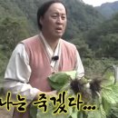 하나아이스크림 이미지