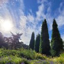 스테이1531 이미지