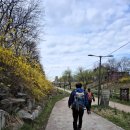 봇들마을 8단지 옆(나들이공원 방향) | 시흥 곰솔누리길 트레킹/ 정왕역 → 오이도등대 8km' 옥구공원.옥구산 코스