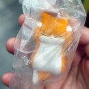 아트팬시 - 해운대구 반송로877번길 111 | [팬시용품] 부산 중구 아트박스 부산광복1호점 가챠 뽑기 후기 😸