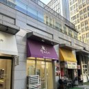 별따줄개 이미지