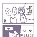 고양이 만화.jpg 이미지