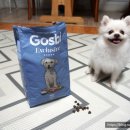 주식회사 지앤원 이미지