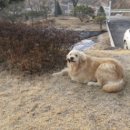 그랜드유치원 이미지