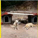 오복농장 이미지