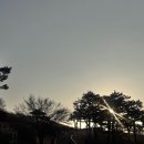 정조로 | 수원역 행리단길 행궁동 맛집 코스 모음| 데이트코스 | 아누테라피 | 수원역 피부샵