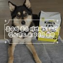 강아지배변패드 추천 킹스펫 킹스패드 중형견 발도장 걱정 없는 강력한 흡수력 솔직후기