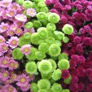 동산농원 이미지