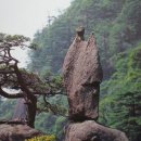 황산민박 이미지