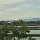 고합