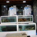 부자축산 이미지