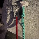 동해-단속-23 이미지