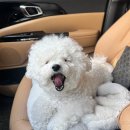 (주)테일즈파크 이미지