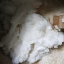 삼해주약주 이미지