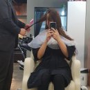 파리바게뜨 화명동원점 | [화명동 미용실] 화명동 태검헤어살롱에서 클리닉받고 머릿결 회복