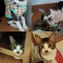 위덕삼성타운 이미지