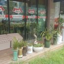 청주본가 충북혁신도시점 이미지