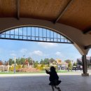 포니랜드 | 포니체험 무료 지금 꼭 가세요 12시 이전 예약 마감 렛츠런파크 포니랜드 솔직 후기