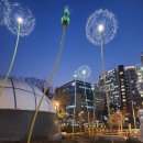 중앙공원무대 뒤 이미지