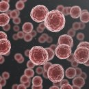 이른비한방병원 이미지