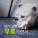 리얼라이크 이미지