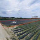 한솔초교 이미지