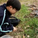 이승현농장 | 학교 이모할머니 메추리농장 녹내장 황반변성 눈 실명...11일 출연진 프로필 후기 관우는 국가대표매니저