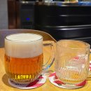 오리여행 | 체코 프라하 맥주 여행 2탄 부드바르 펍 Budvarka 후기 (+오리콩피)