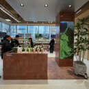 종로-신영-종로-영-125 | NEW 웰니스 플랫폼 올리브베러에서 만난 오설록 티 바 밀크티 시음하고 온 후기