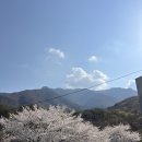 삼성민박 이미지