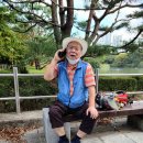 서현중앙길 이미지