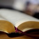 제천종합운동장 축구장 이미지