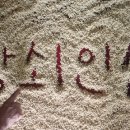 수삼랜드 이미지