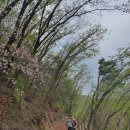 치악산둘레길 10코스 아흔아홉골길 이미지