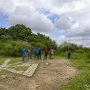 꿩대신닭 이미지