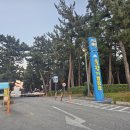 GS25 강릉연곡캠핑장점 | [강릉아이와함께여행]연곡 솔향기캠핑장 카라반 D703 이용후기