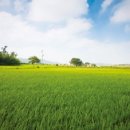 지도읍선도보건진료소 이미지