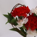 리밸런스 휘트니스 이미지