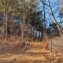 시흥견인차량보관소(대야) 이미지