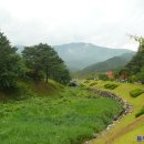 꽃들의 미소 이미지