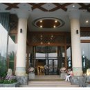 드비취일 이미지