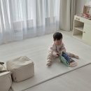 아기놀이매트 pvc 비엔메이드 디어매트 후기