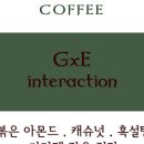 파이오니어커피