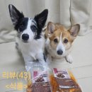 고기먹방 | (술안주, 반찬 추천)갓셰프 돼지고기 묵은지 두루치기 먹방 후기